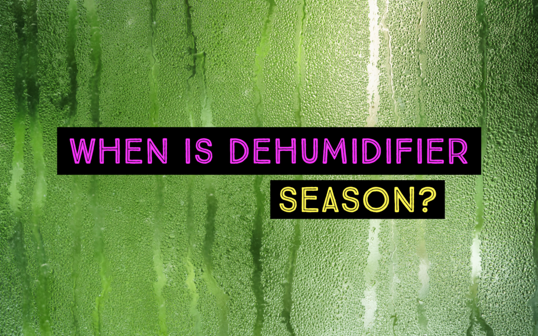 WHEN IS DEHUMIDIFIER SEASON?  